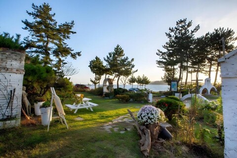 씨앤화이트 펜션