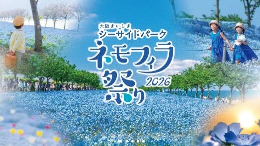 네모필라 축제 2026 입장권 - 어린이 (초중학생)-i