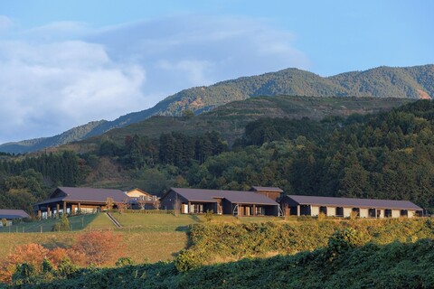 오베르주 드 셍비에