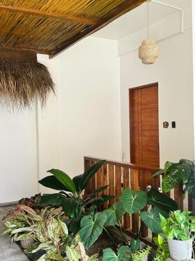 Calathea Suites El Nido