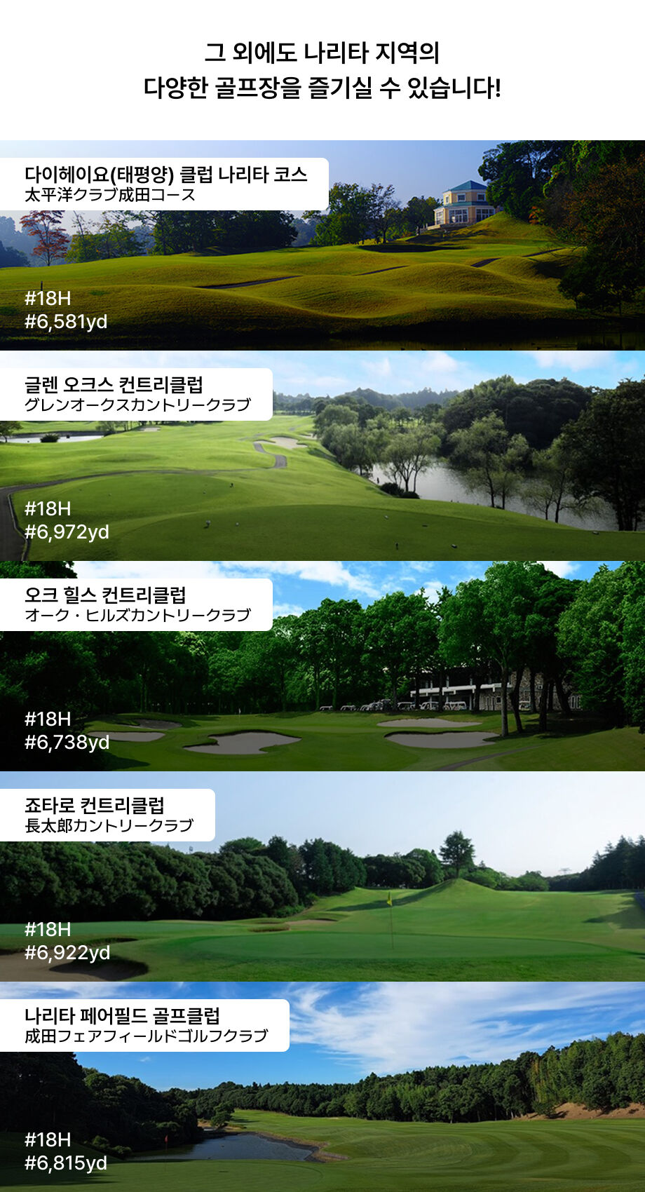 일본 도쿄 나리타 소도시 시내 골프투어 [일정 선택 가능] 상세 이미지 5