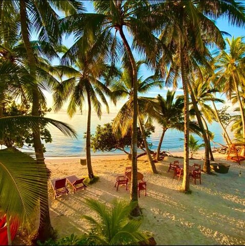 홀리데이 홈 디푸시