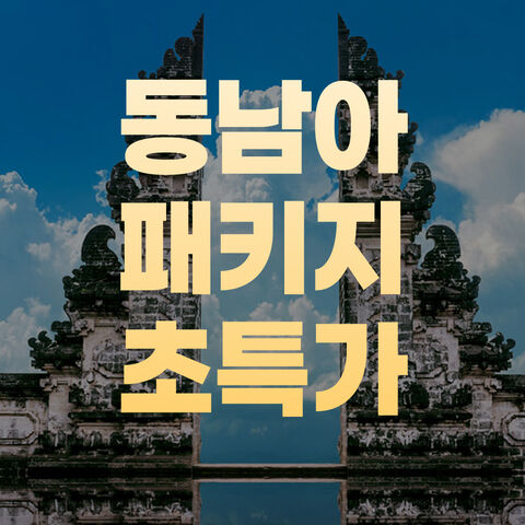 패키지 특가