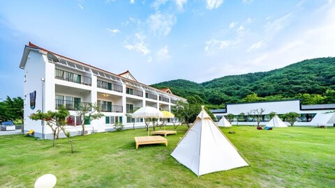 글램독 - 통영 (펫프렌들리)