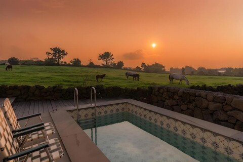 제주 봉성 노을담 풀빌라