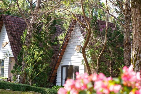 TTC 드림 힐 리조트 (TTC 월드 무제한 이용 - 퉁룽틴에우)