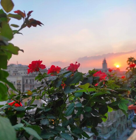 다운타운의 아파트먼트 (325m², 침실 3개, 프라이빗 욕실 4개)