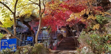 횡성 로그캐빈펜션