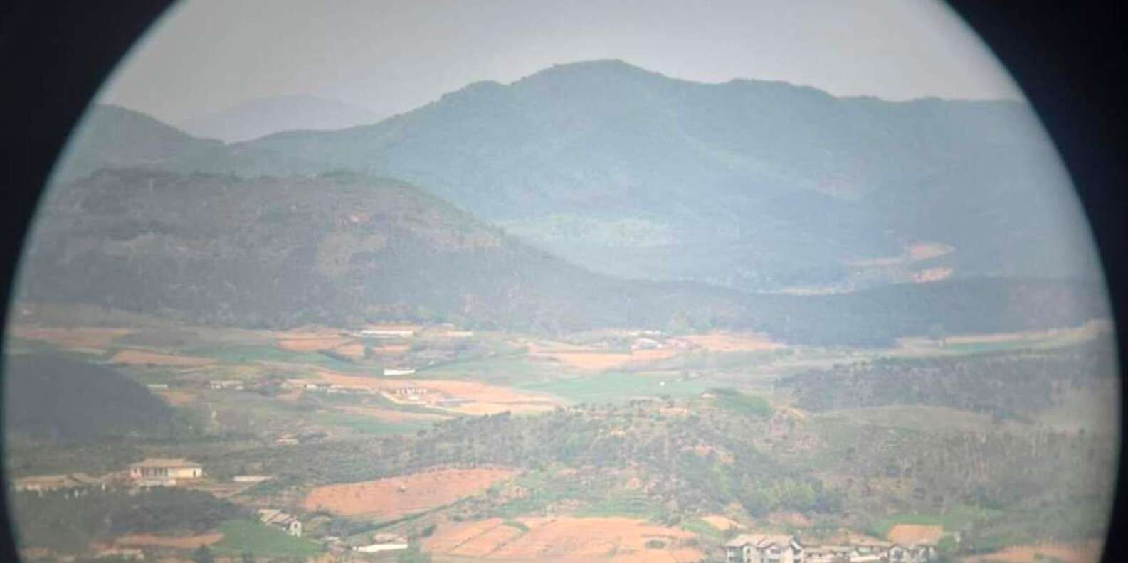 section