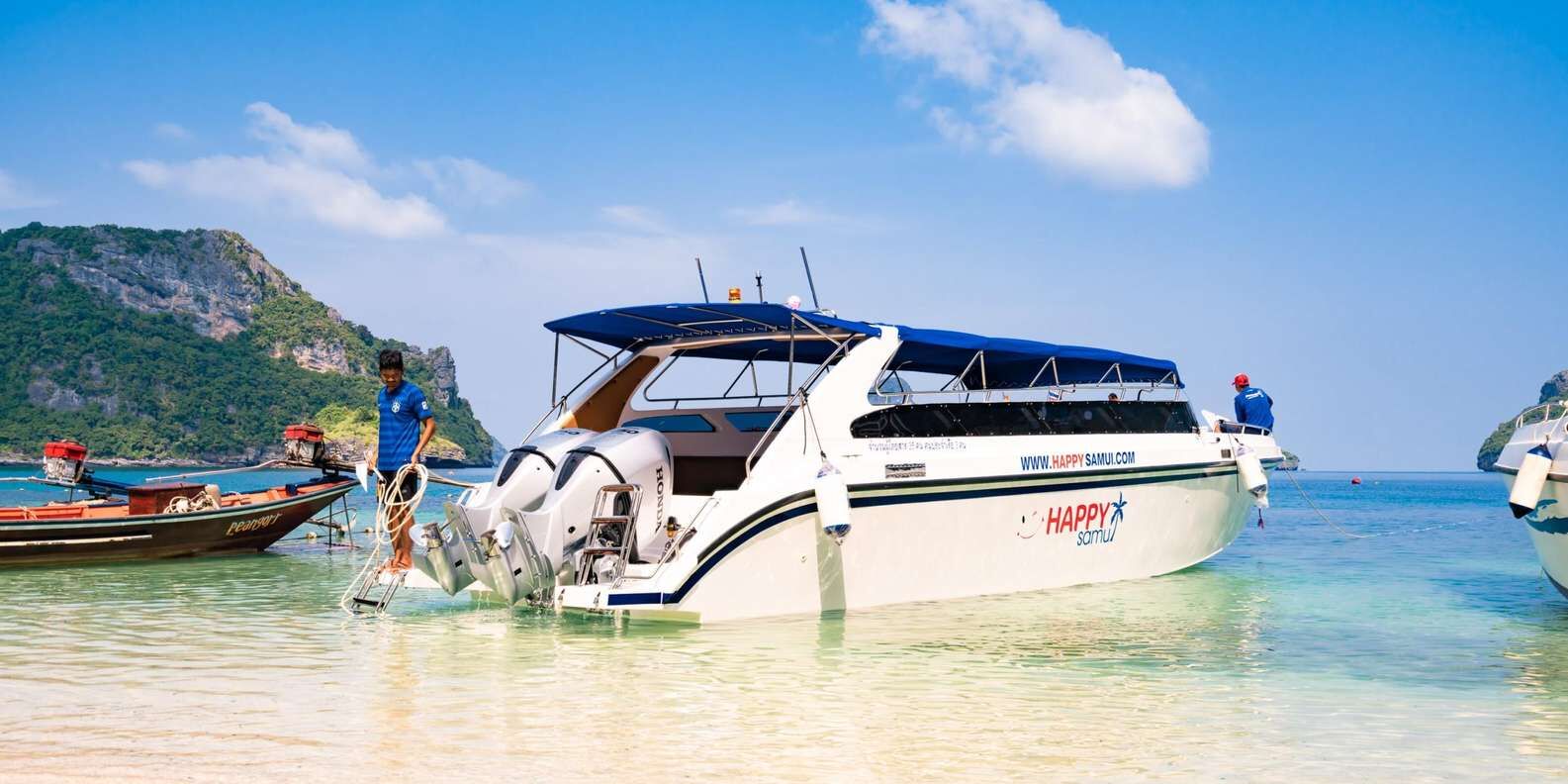 section