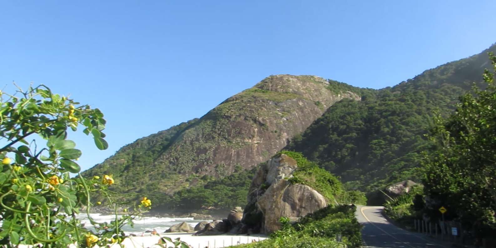 section