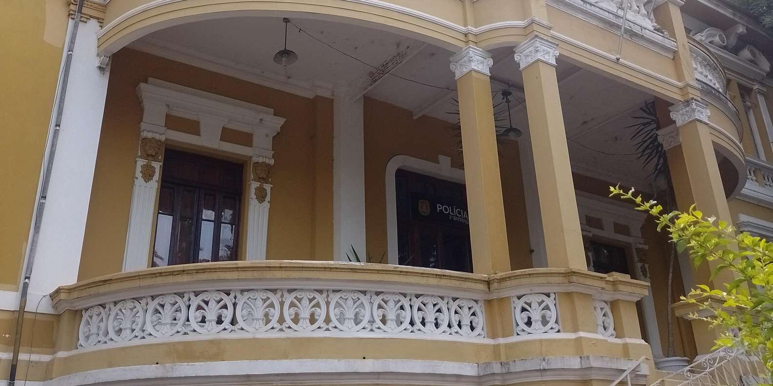 section