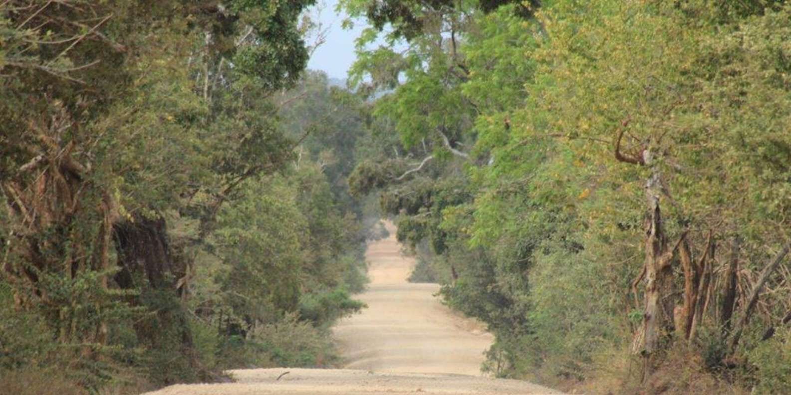section