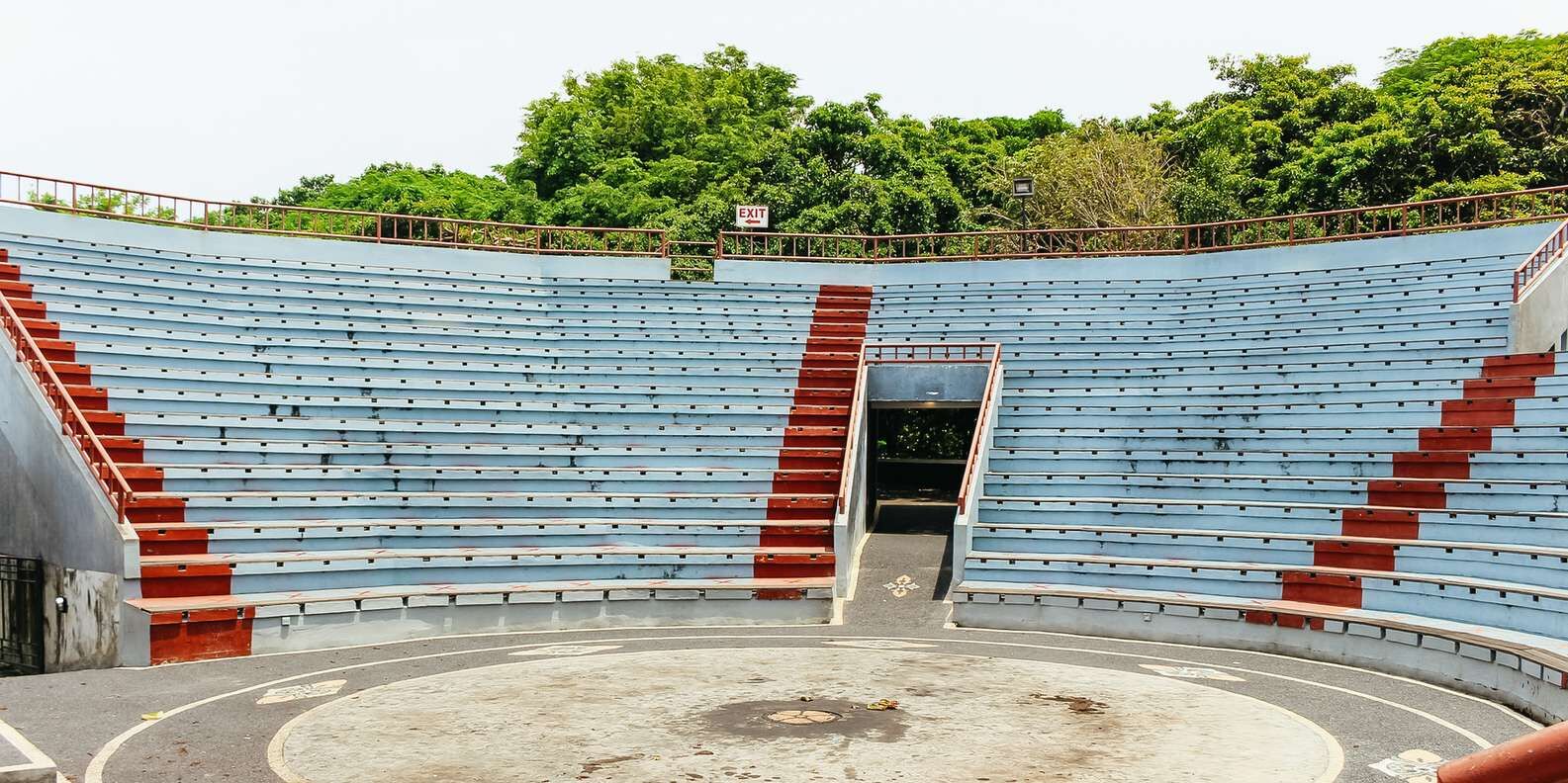 section