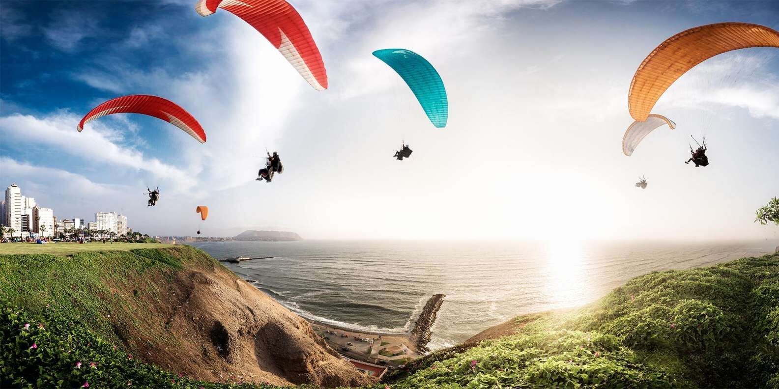 section