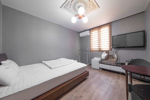 대전 문창 아비숑