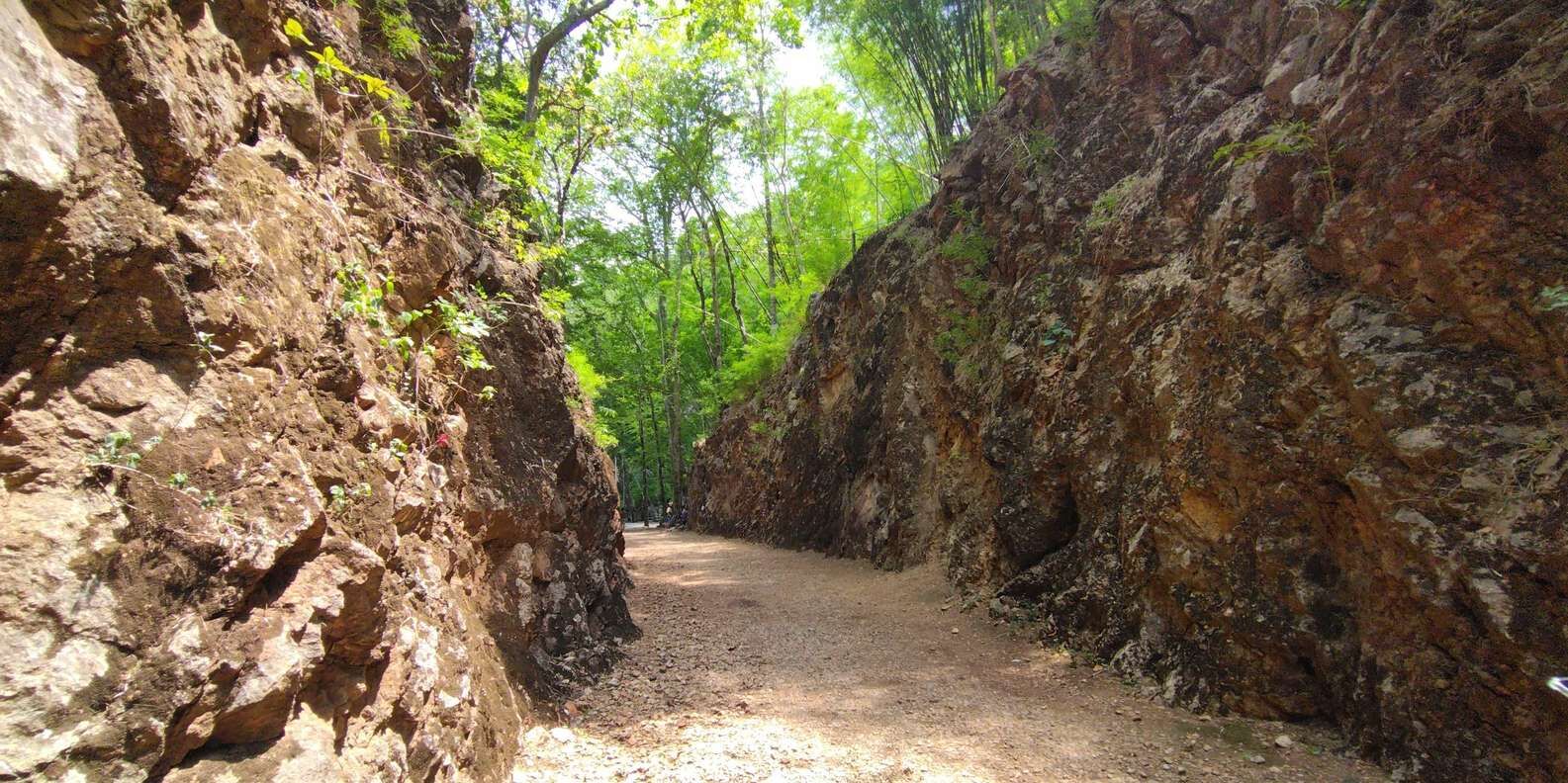 section
