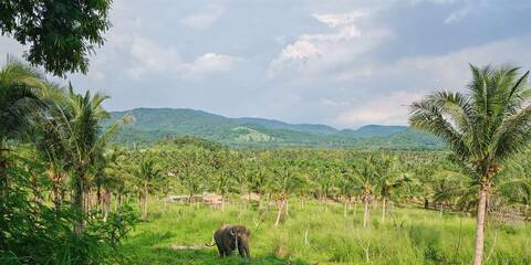 product-thumbnail-2