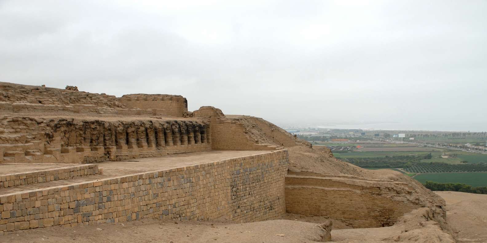 section