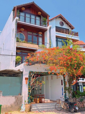 안리바 호이 안