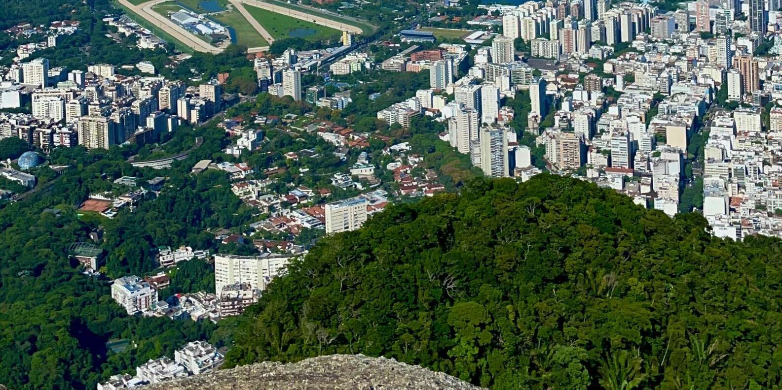 section