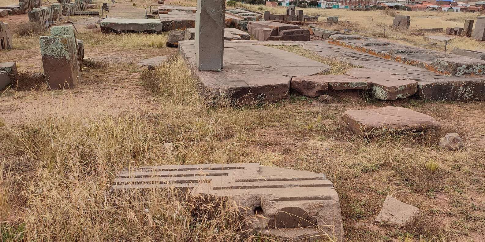 section