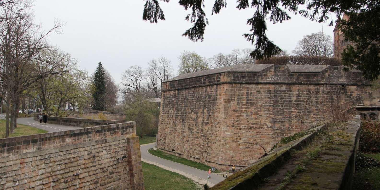 section