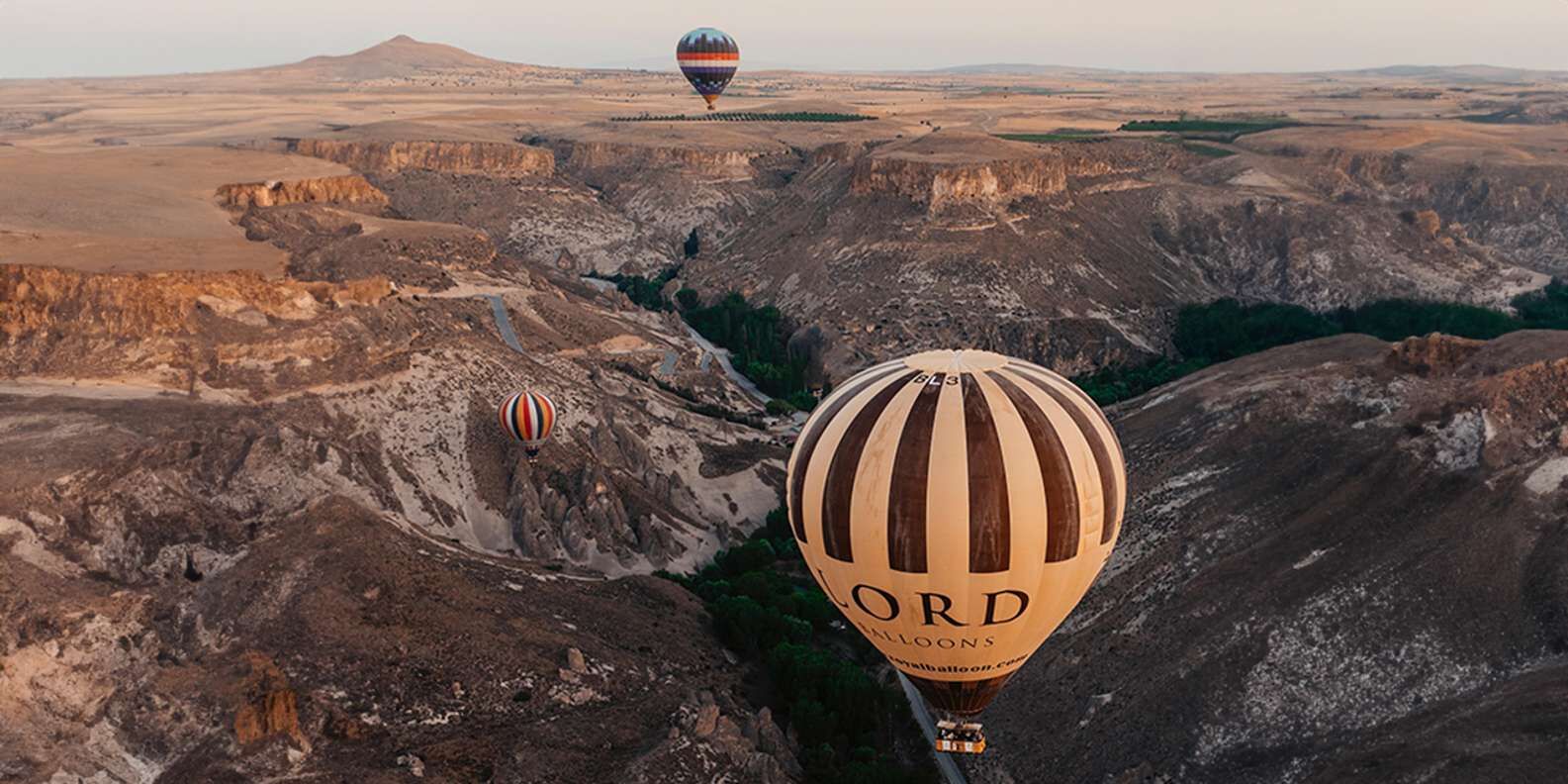 section