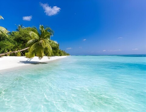 에쿠아 리프 몰디브 호텔