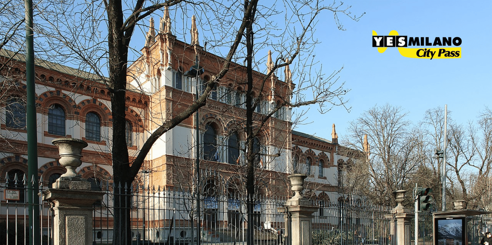section