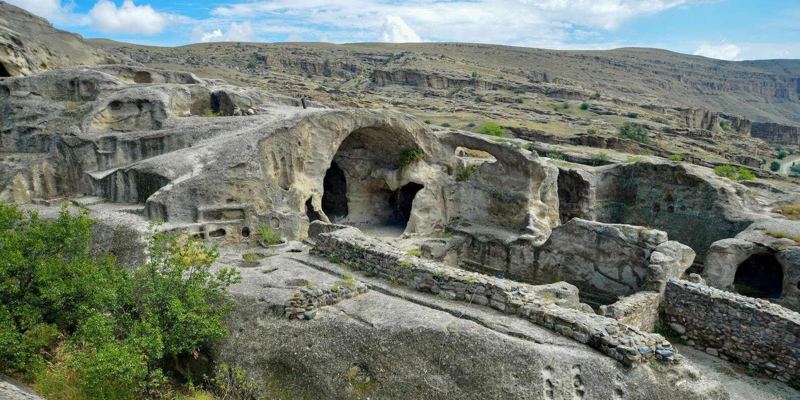 section