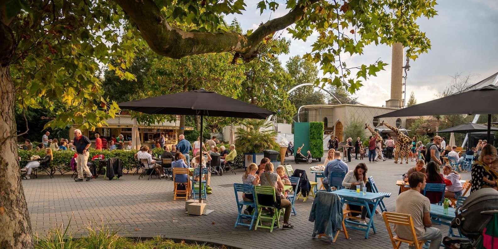 section