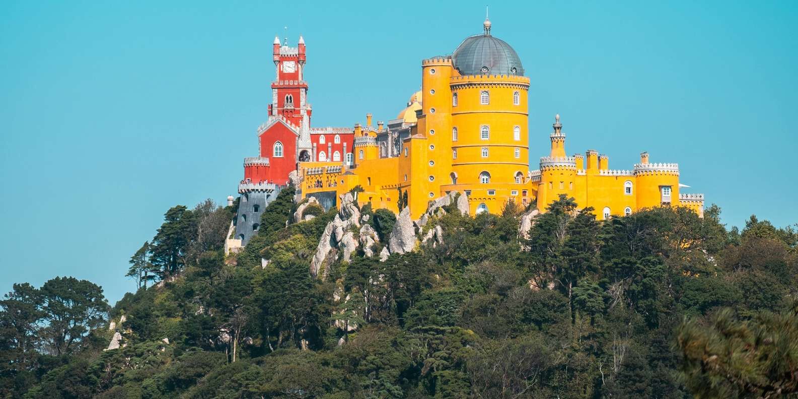 section