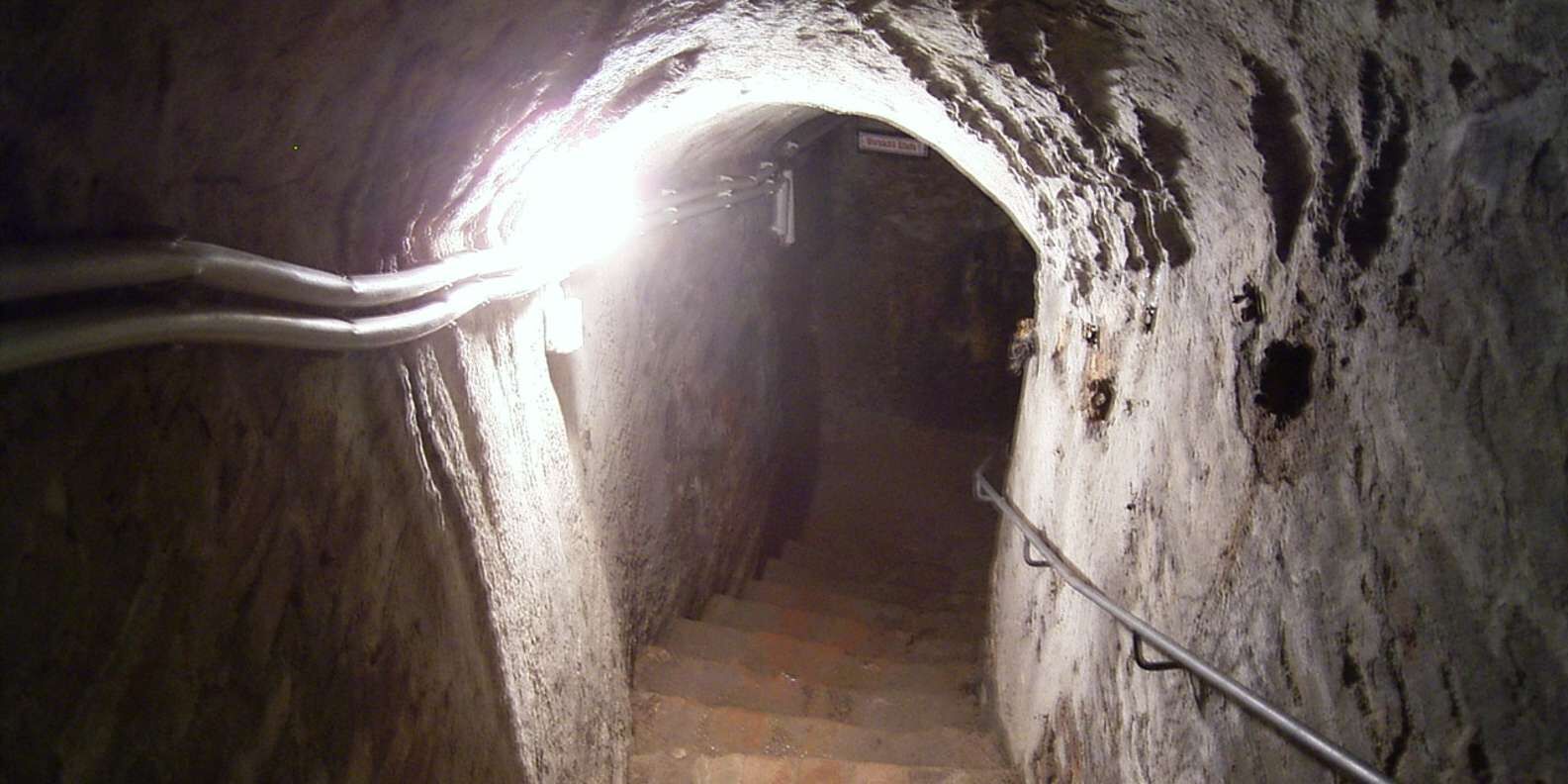 section