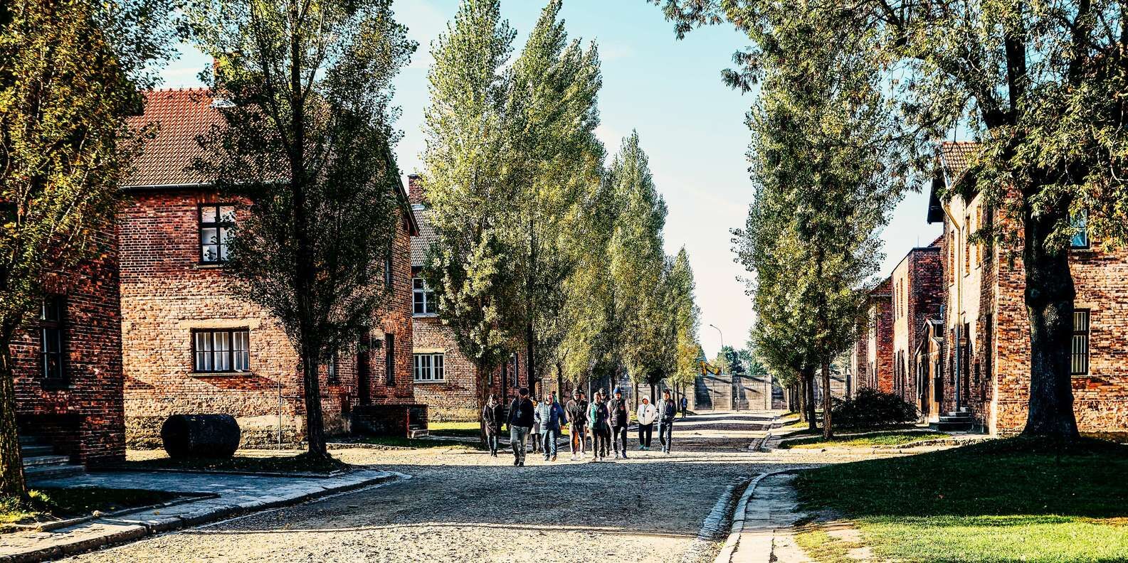 section