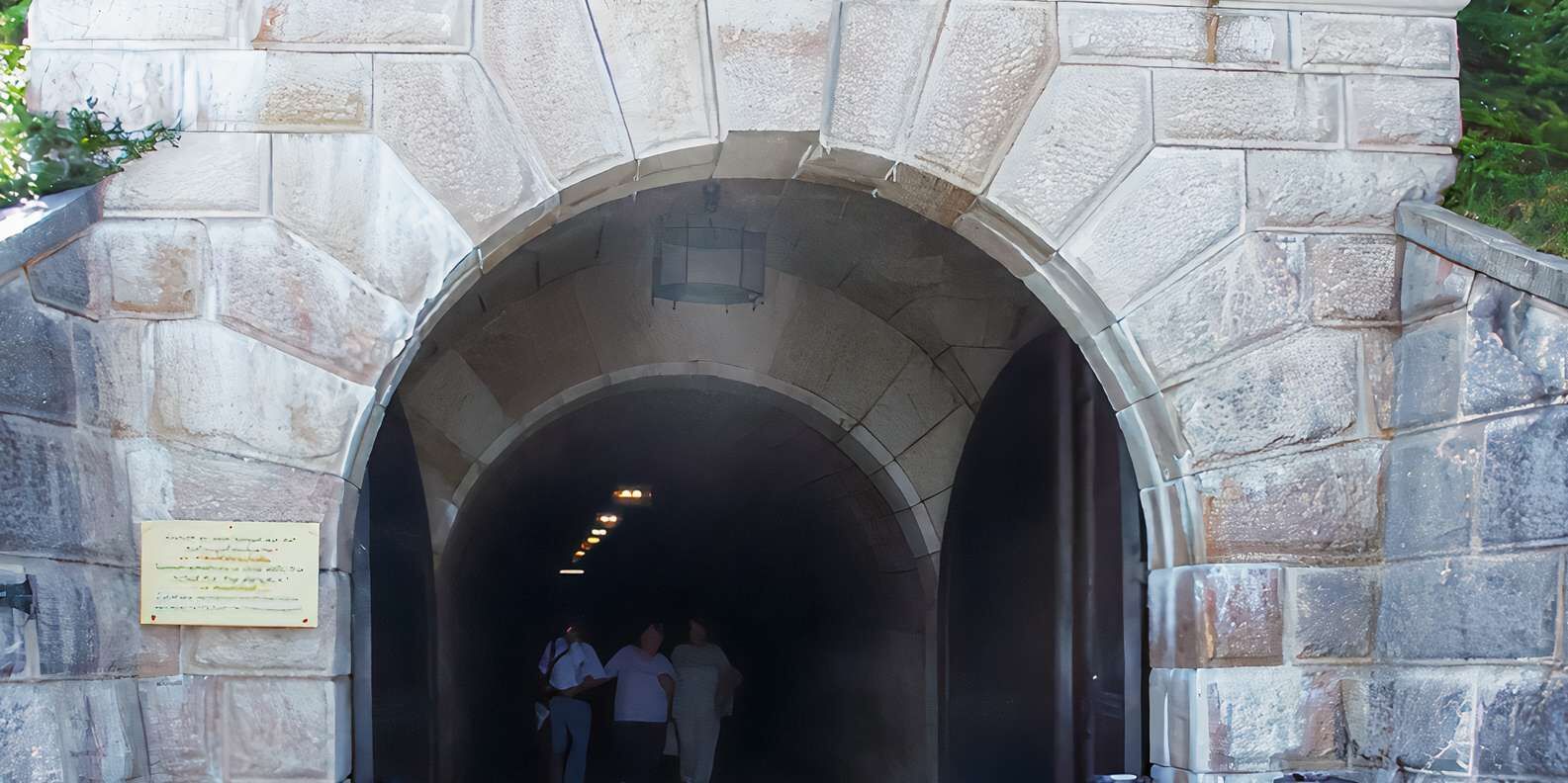 section
