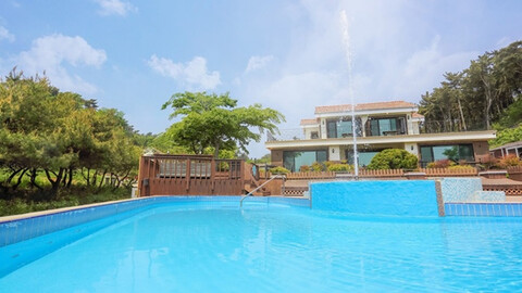 태안 곰섬파라다이스