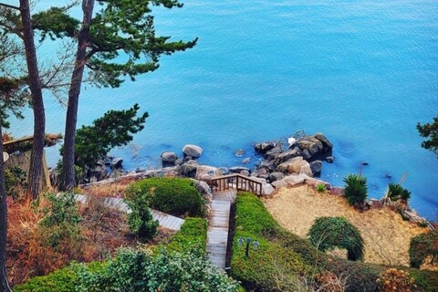 태안 숲속의바다펜션