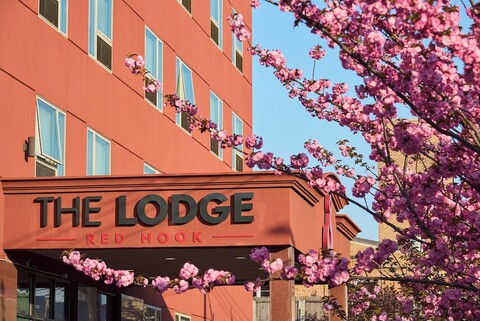 더 로지 레드 훅