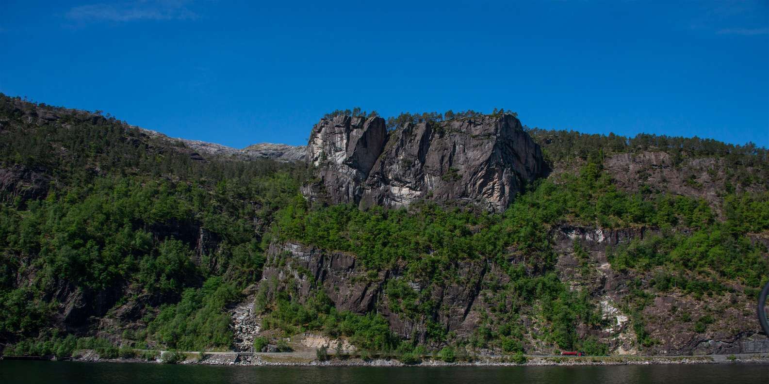 section