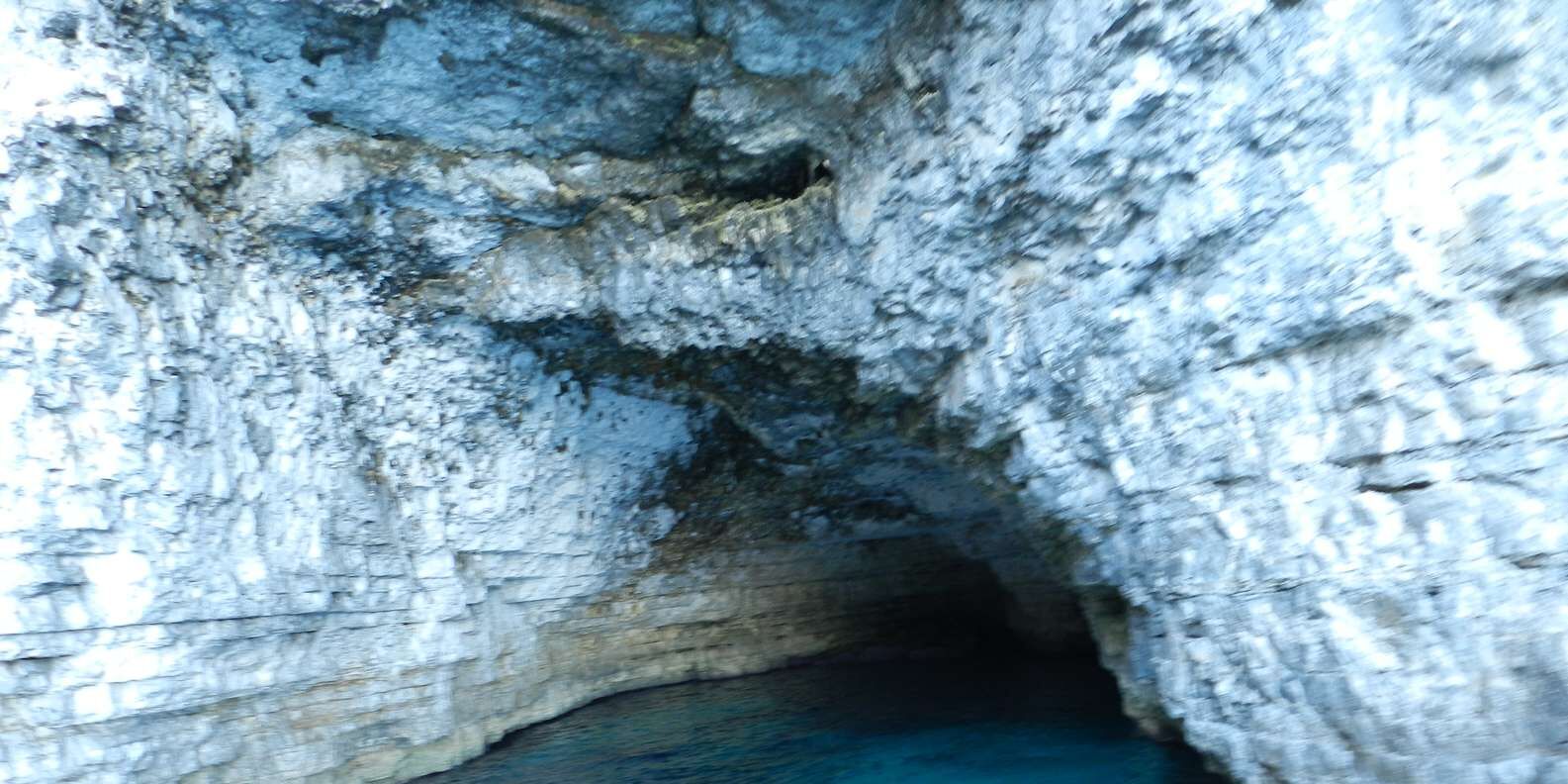 section