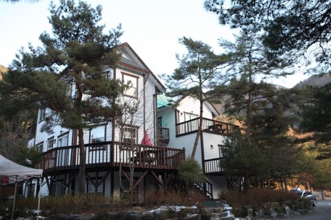 영월 스카이펜션캠핑장