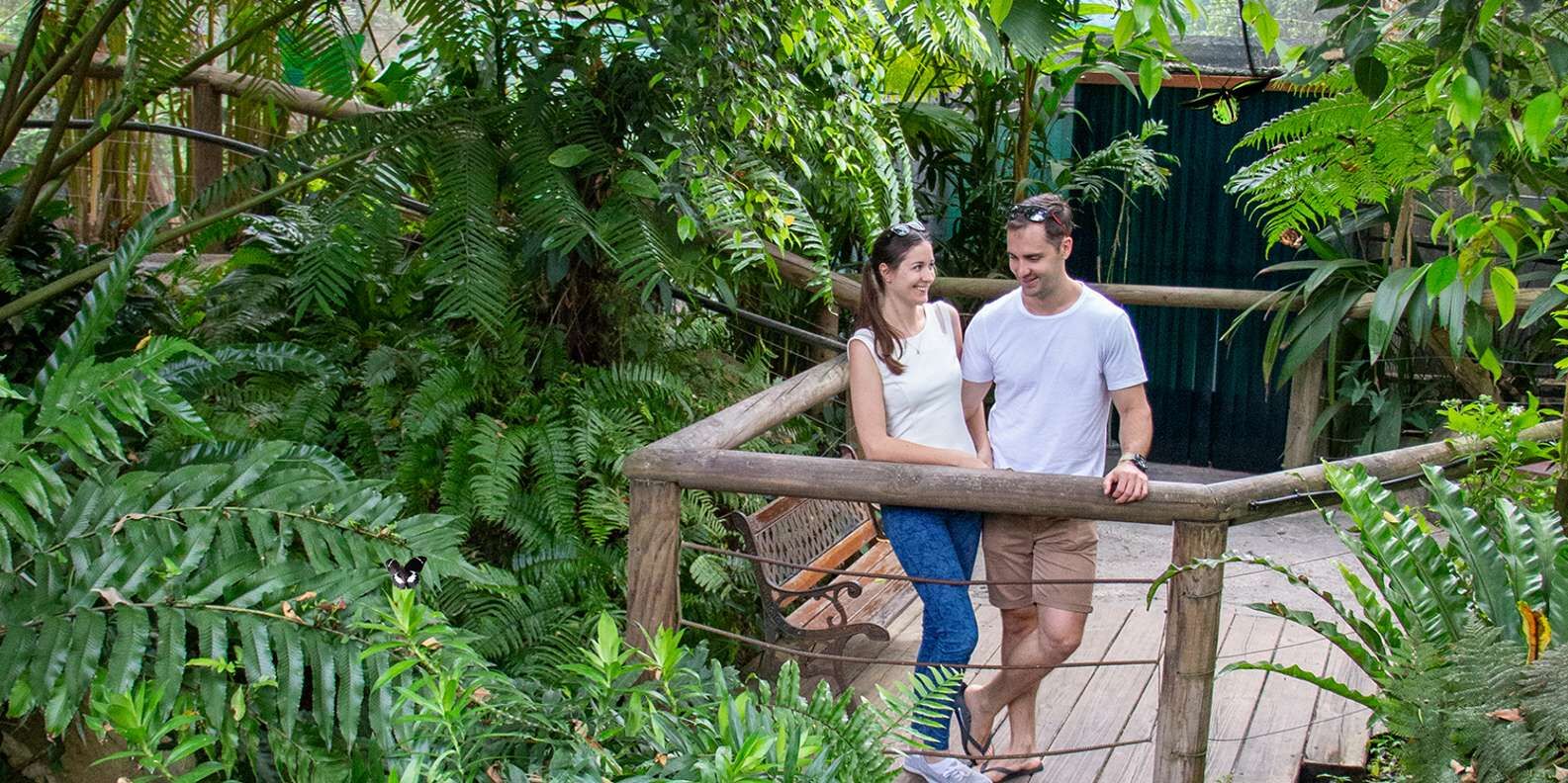 section