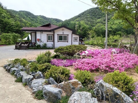 상주 문장대힐링하우스펜션