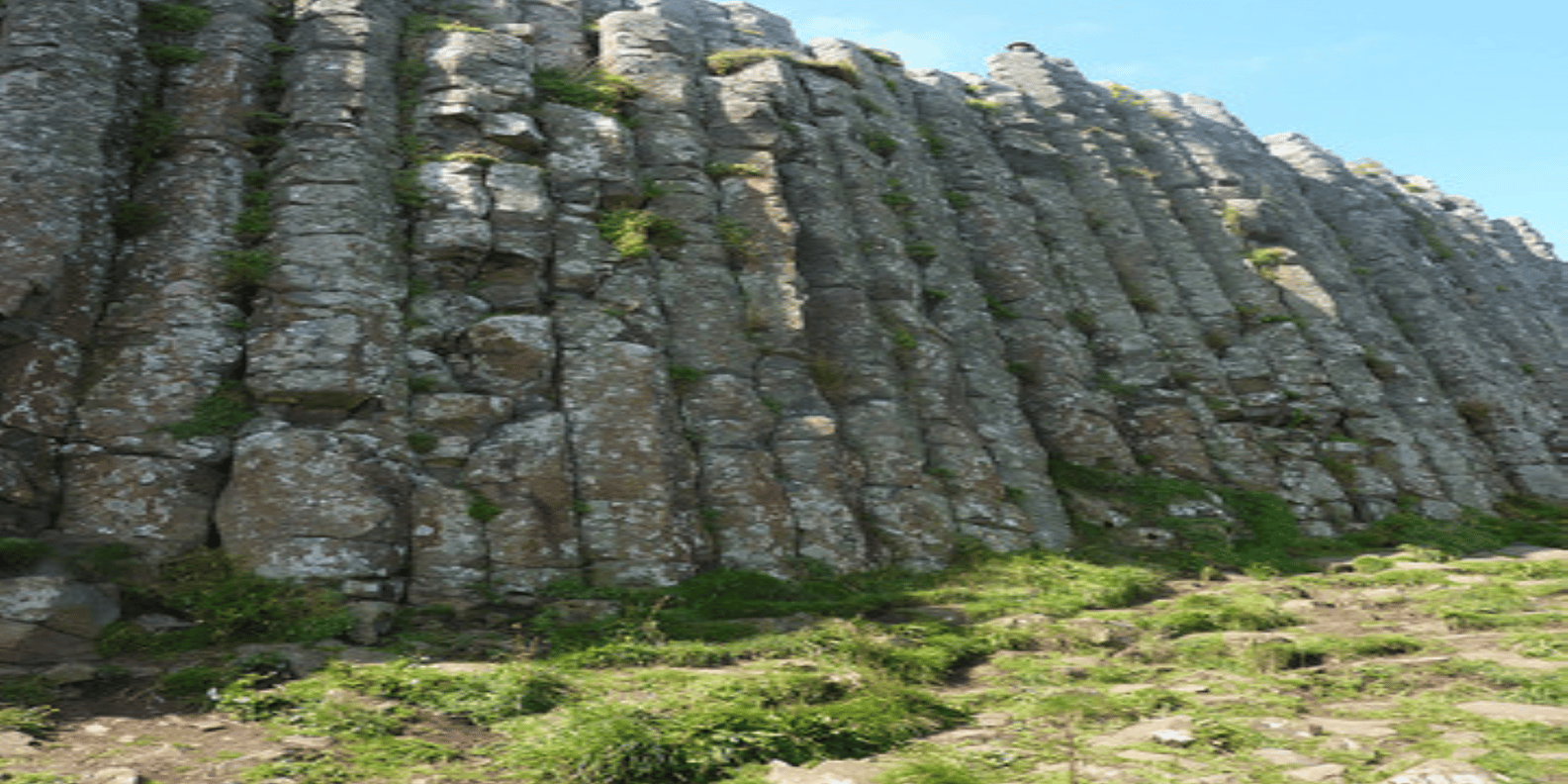 section