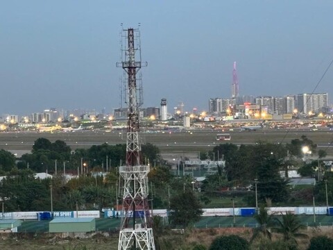 150 팜반박