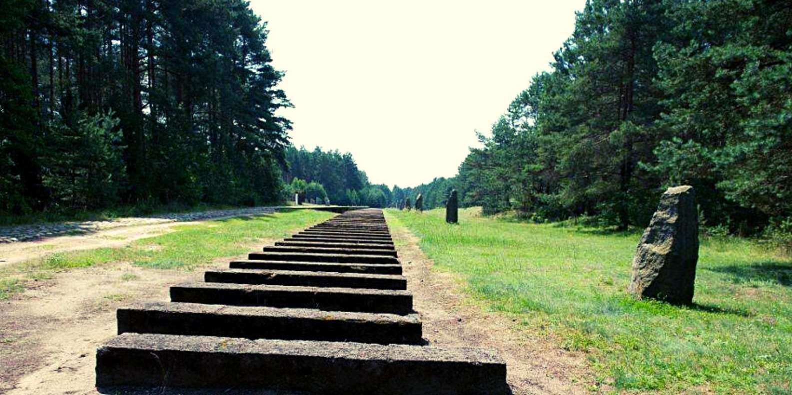 section