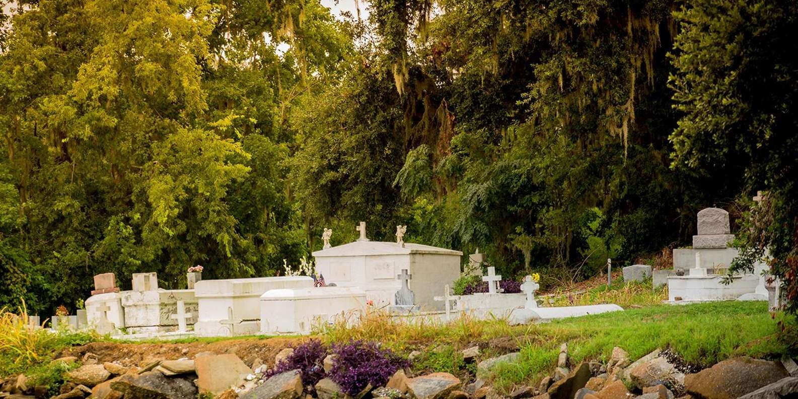 section