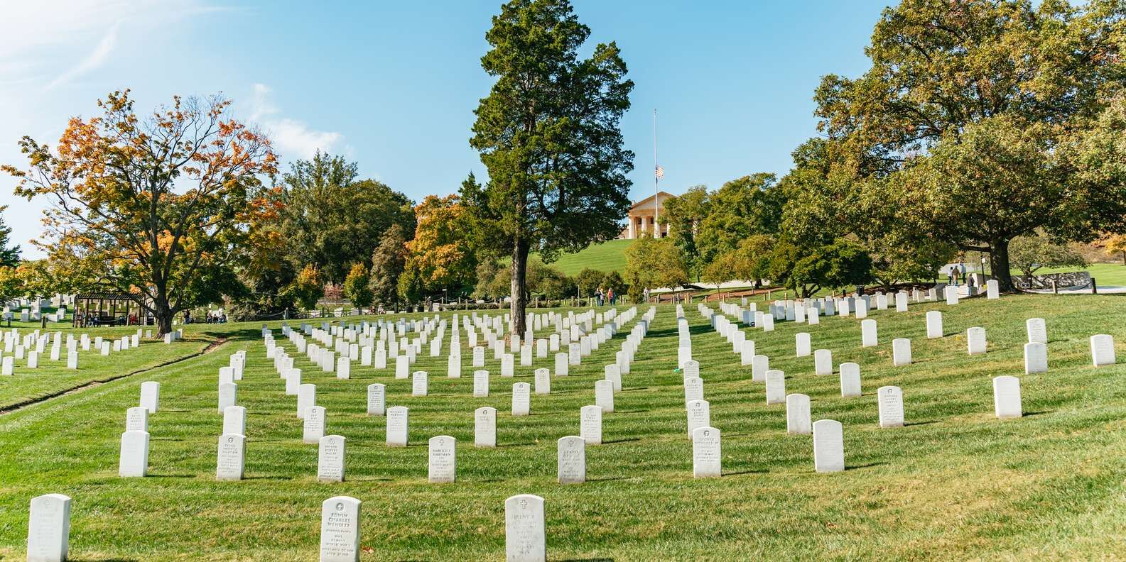 section