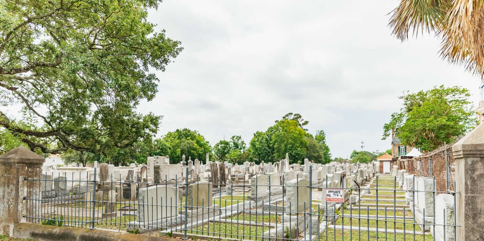 section